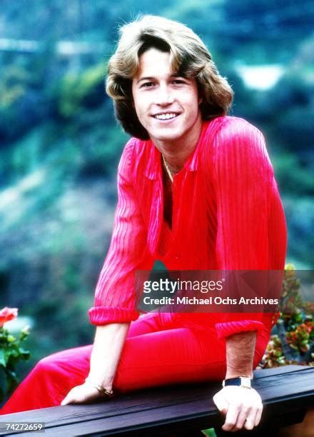 andy gibb photos|462 Andy Gibb Photos Stock Photos & High